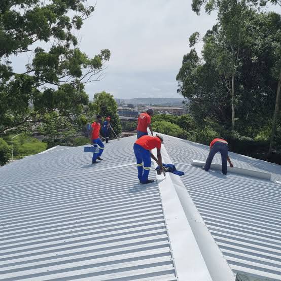images (11)
